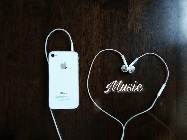 Music Lover...