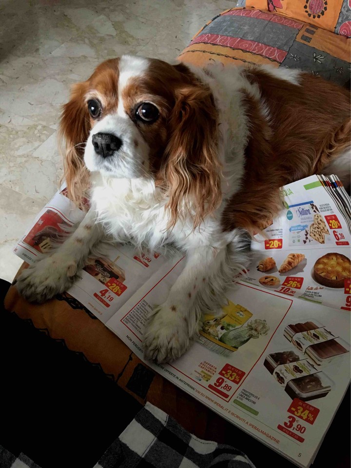 don’t touch my supermarket flyer