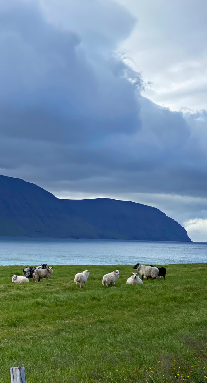 Iceland