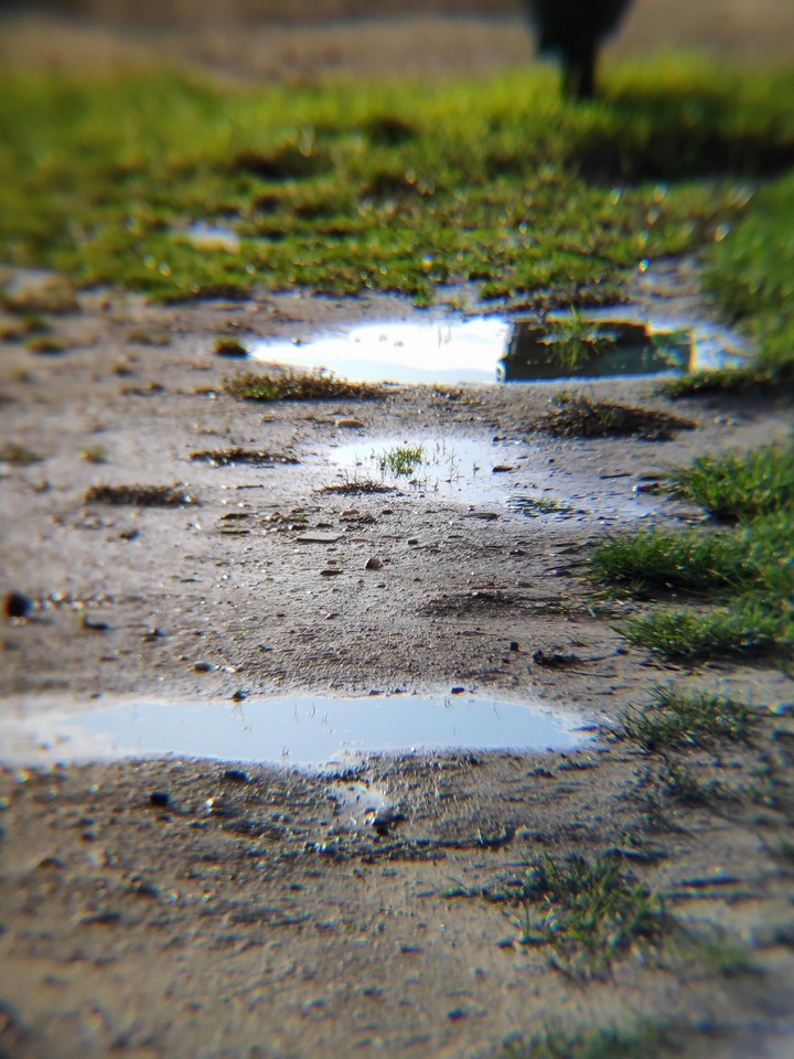 Puddle