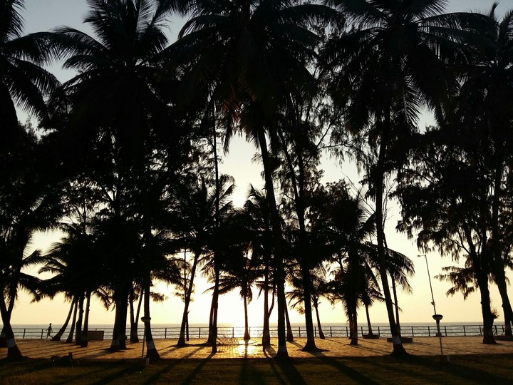 A Peaceful Dusk