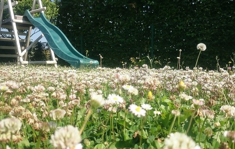 slide in the garden