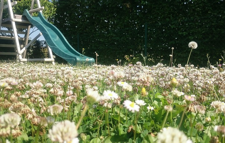 slide in the garden