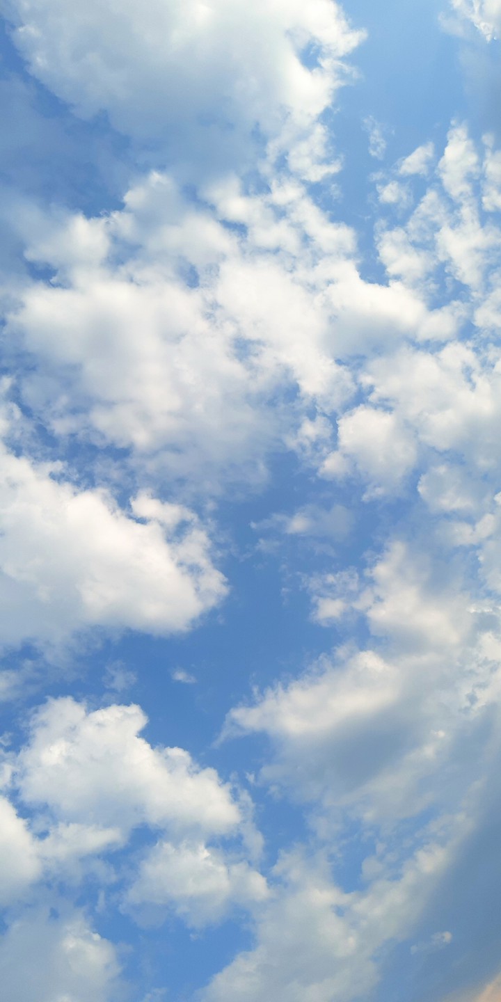 sky love