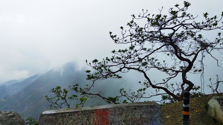 Nature