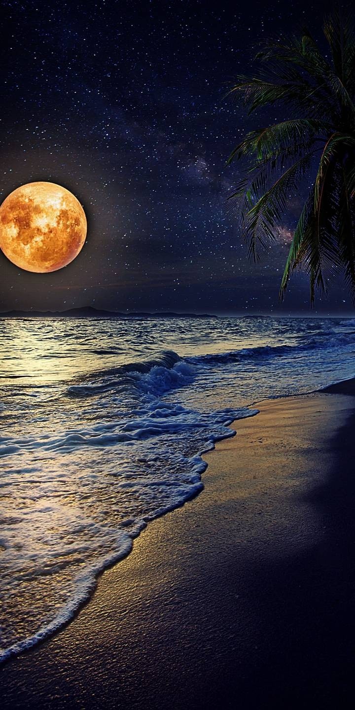 Sea