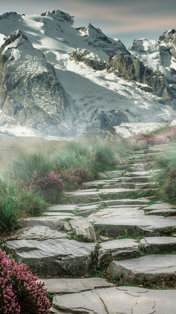 mountains