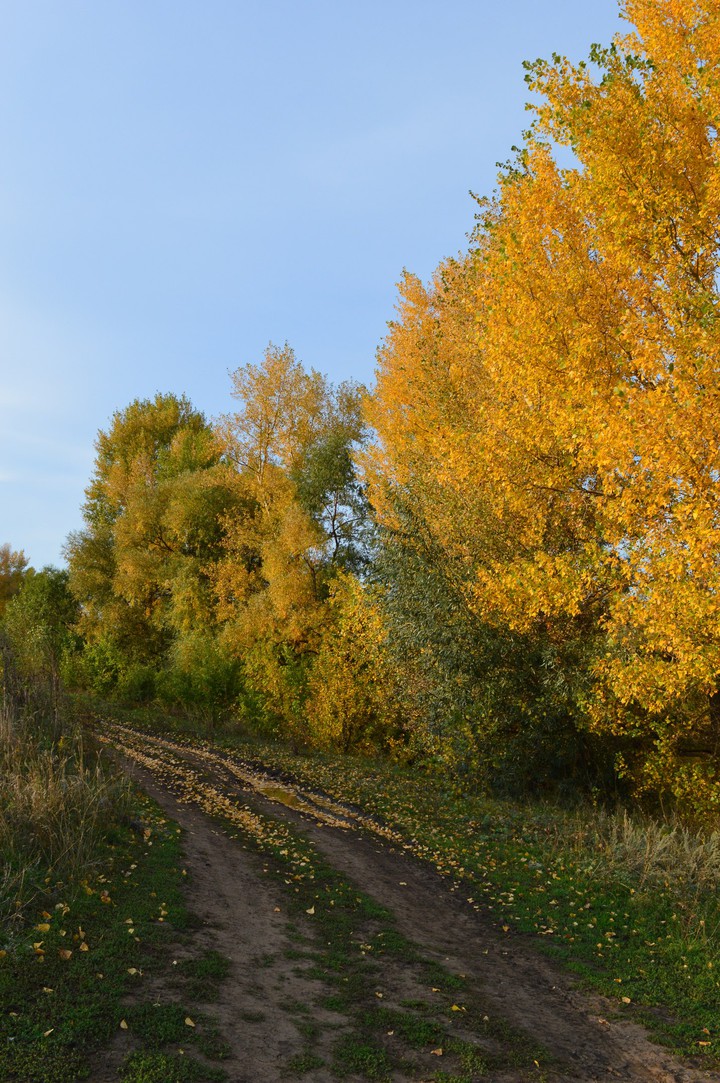 осень