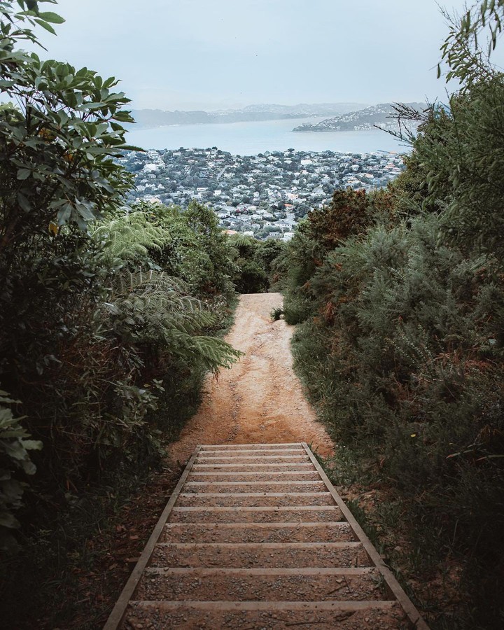 Wellington, New Zealand