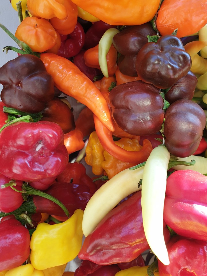 Spanien Paprika+Chilli