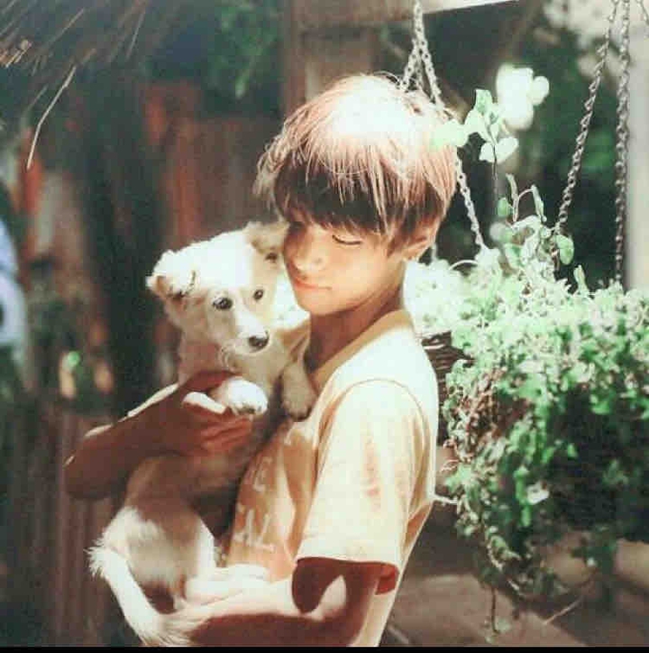 BTS-V
