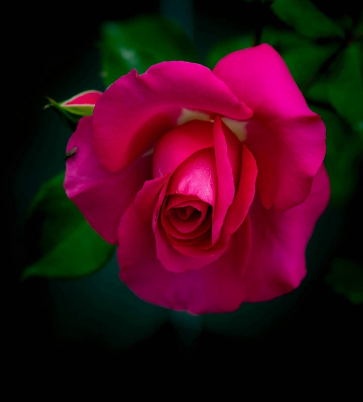 For all my friends