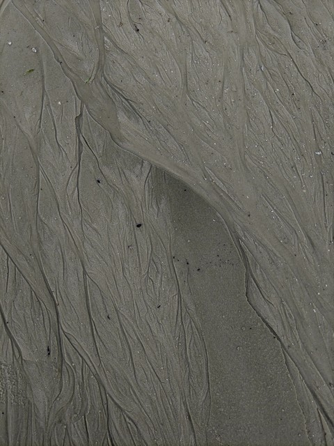 A Walk on the Beach