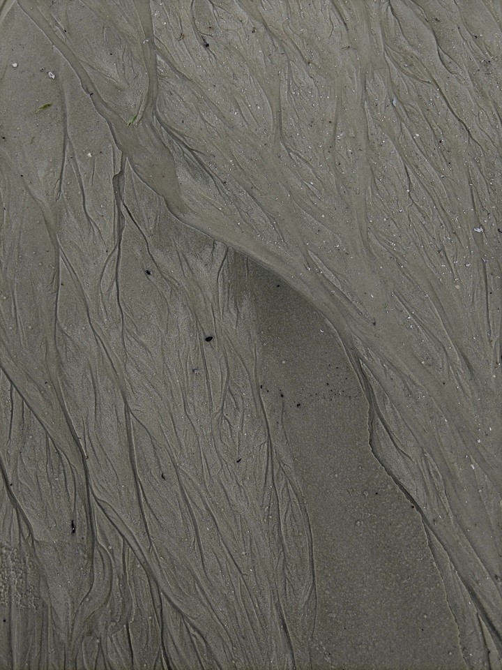 A Walk on the Beach