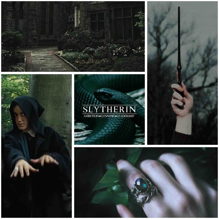 Be proud of being a Slytherin