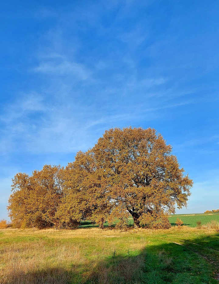 Herbstlich