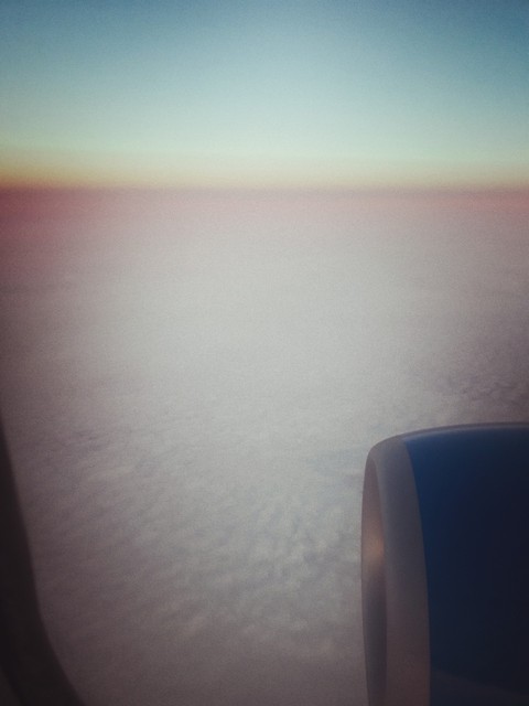 my flight 2018