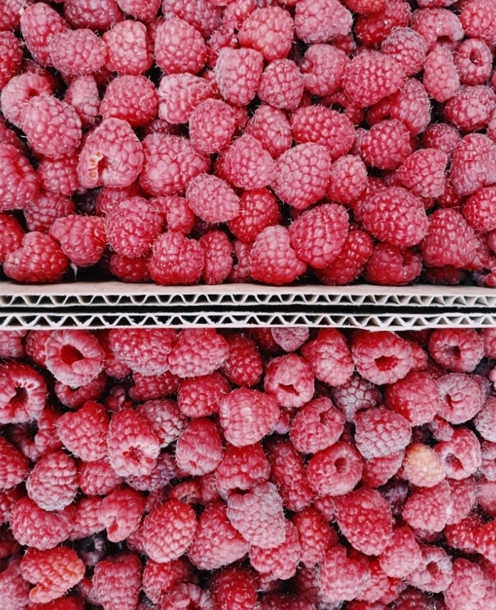 Raspberry