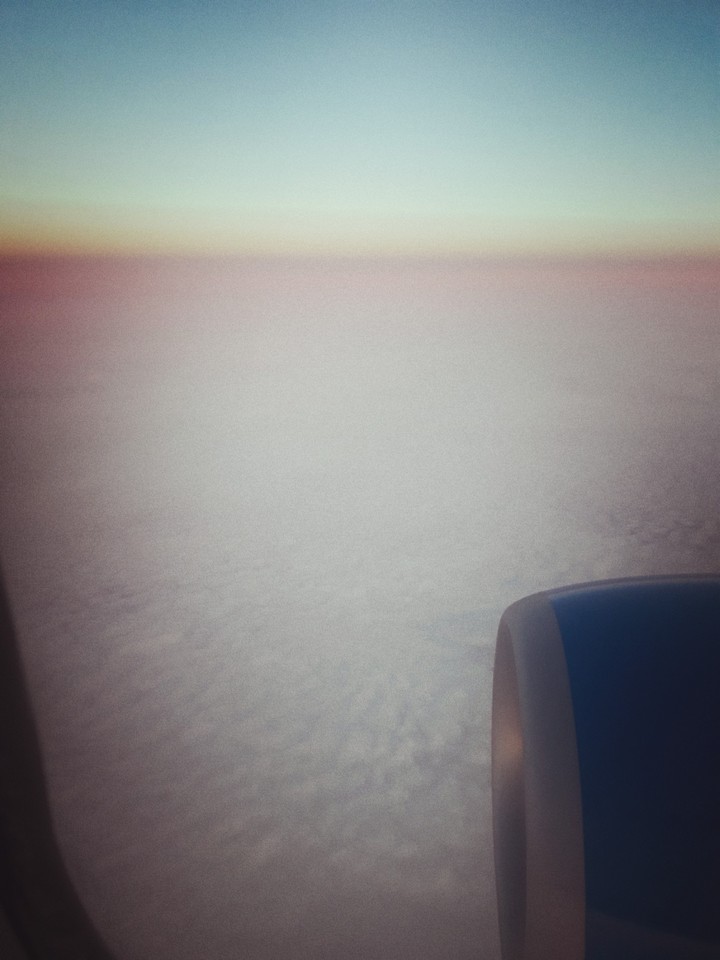 my flight 2018
