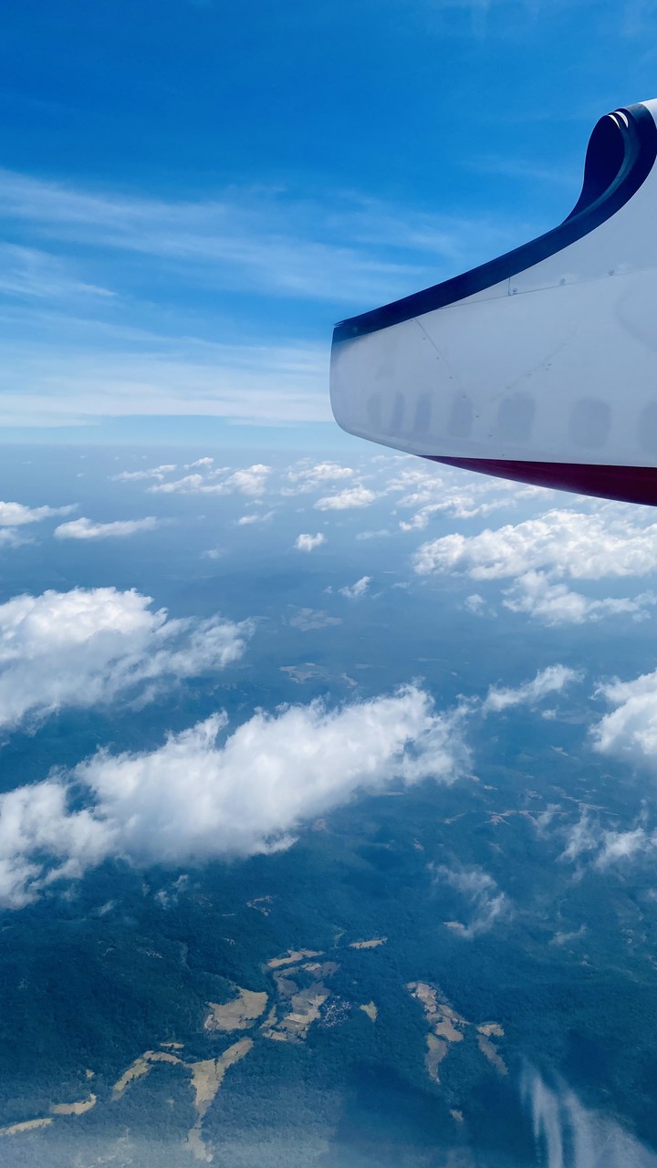 fly high