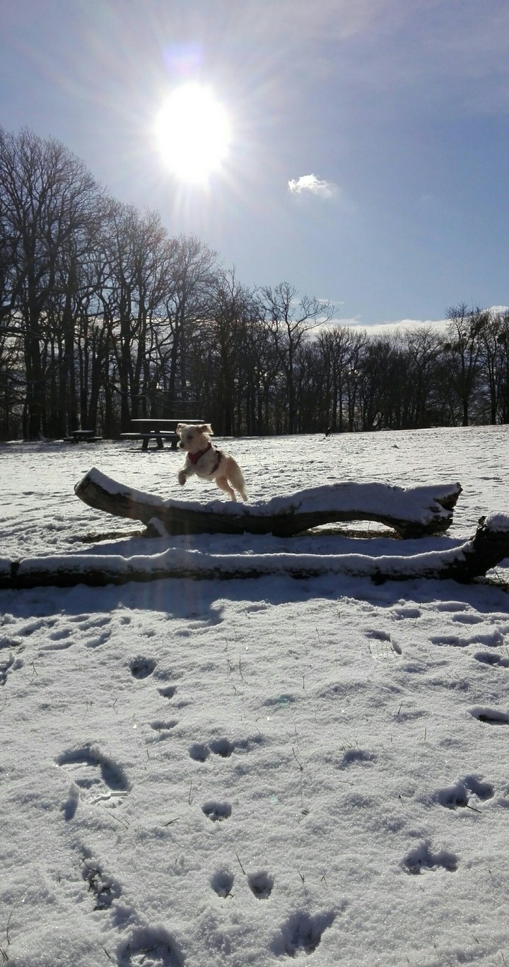 :-)
