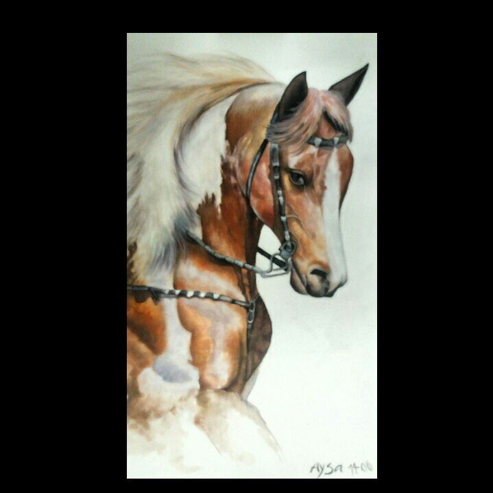Aisa،watercolor painting,horse