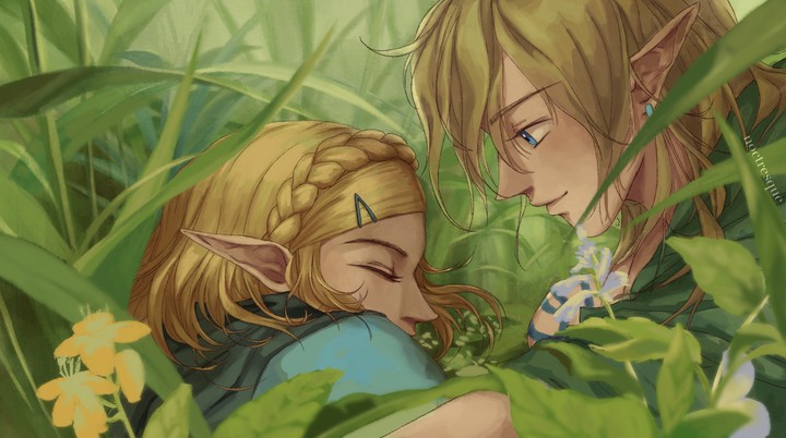 Zelda