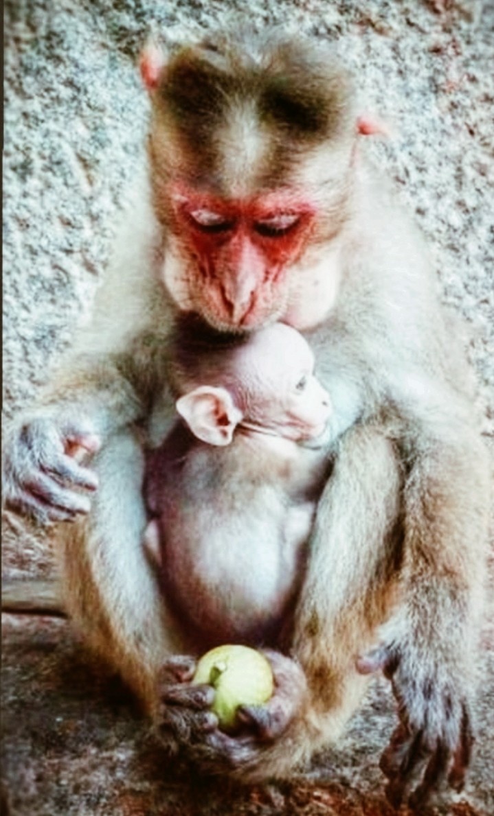 mother and naby