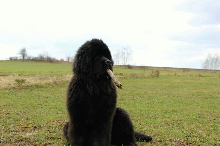 George