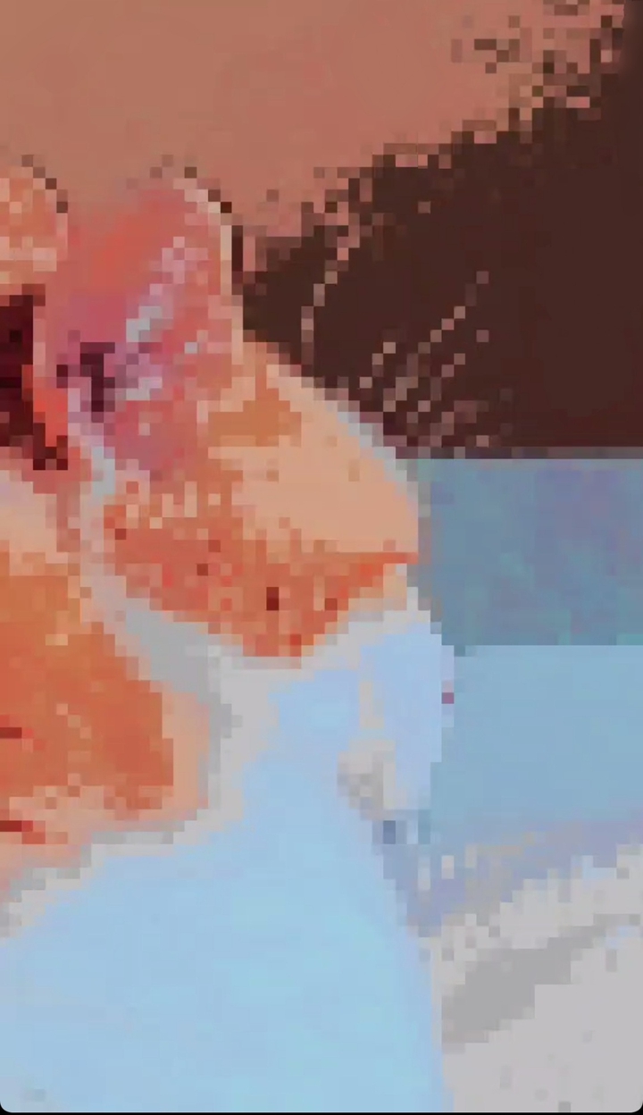 pixel cat