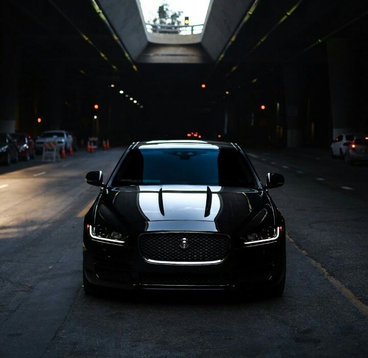 Jaguar