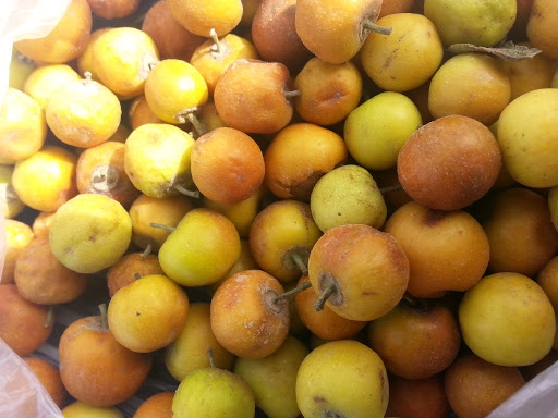 komar, the fruit of a tree called SEDR.The leaves have being