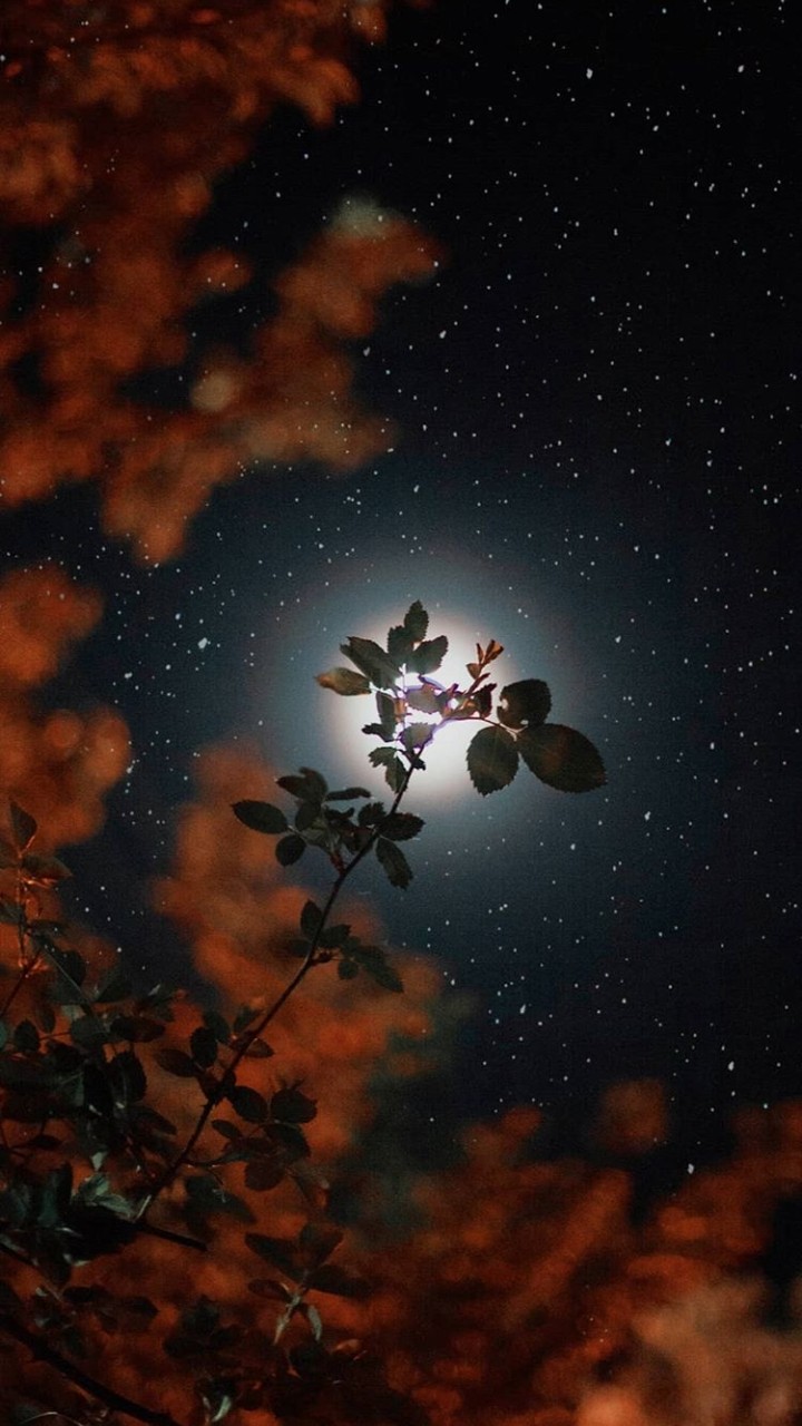 Moon