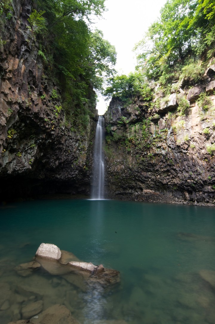 Scenics