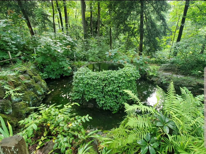 Green Tranquility
