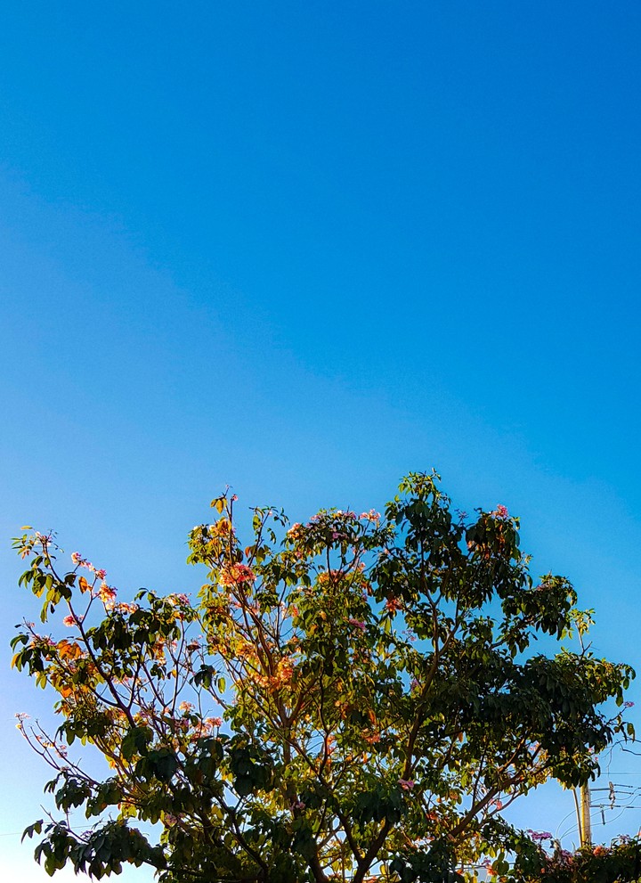 Patrocínio MG
