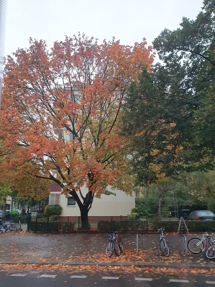 Herbst