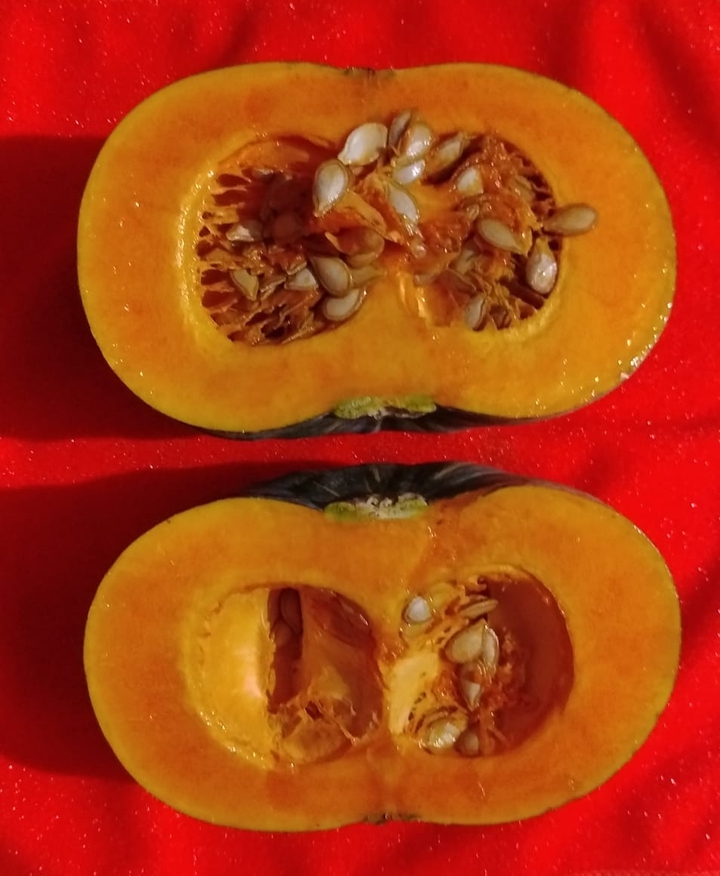 pumpkin