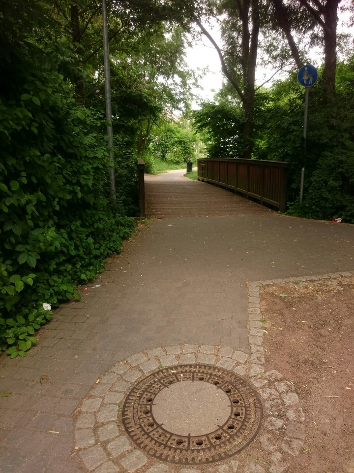 bridge