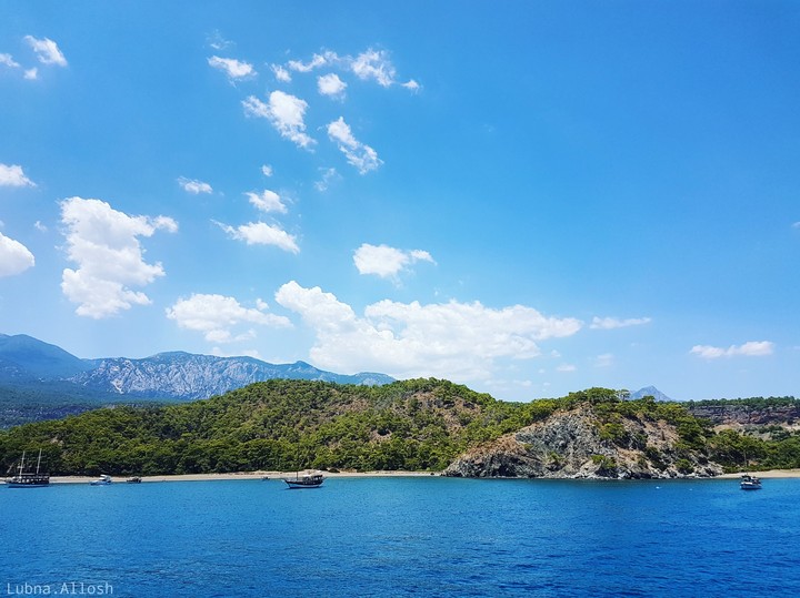 Landscape