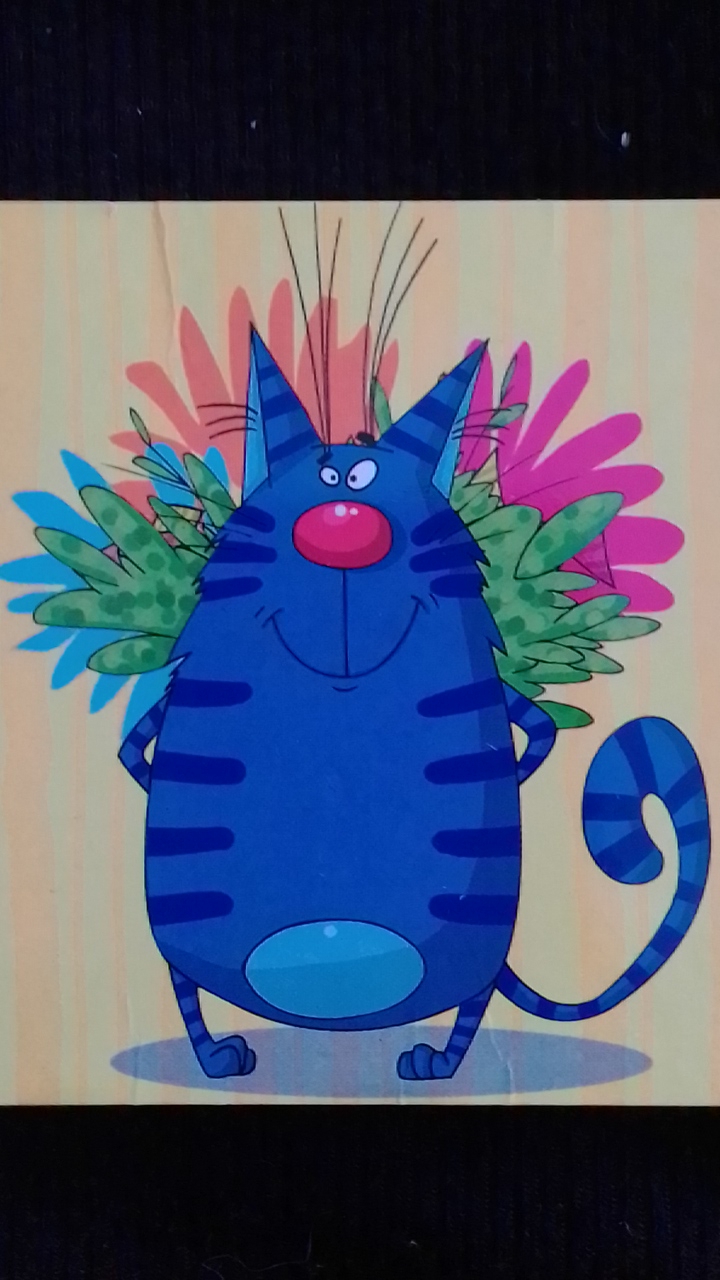 кошачий джентельмен