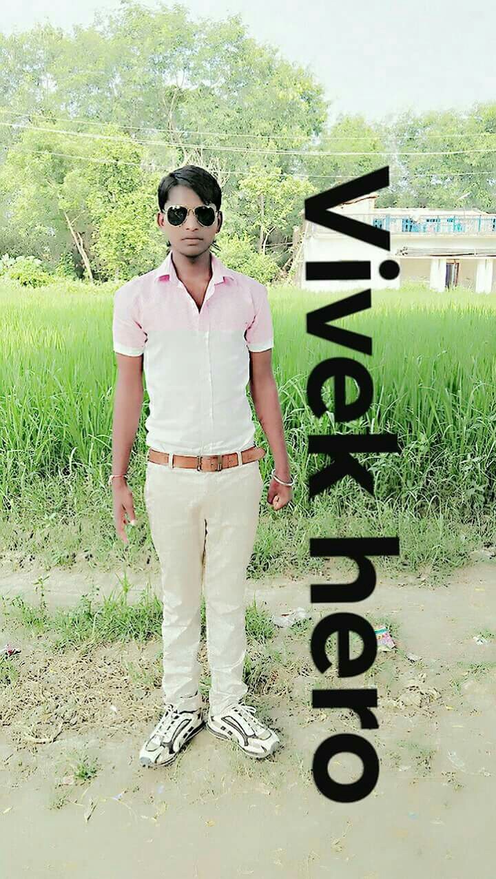 vivek raj