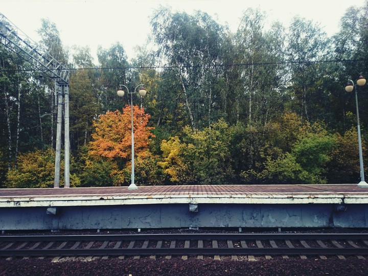 the autumn