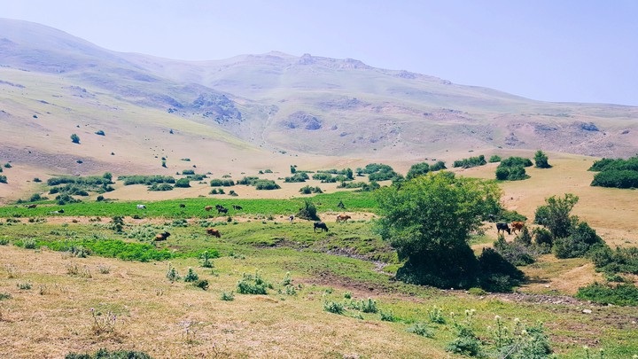 Beautifull Mountain