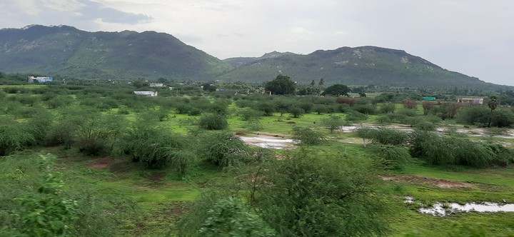 south Indian
