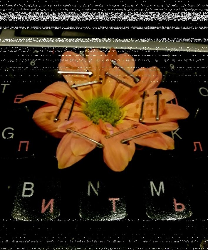 flower