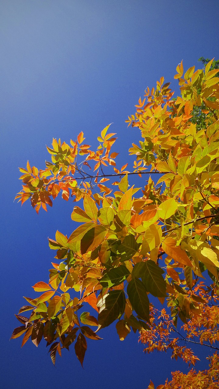 Autumn is coming