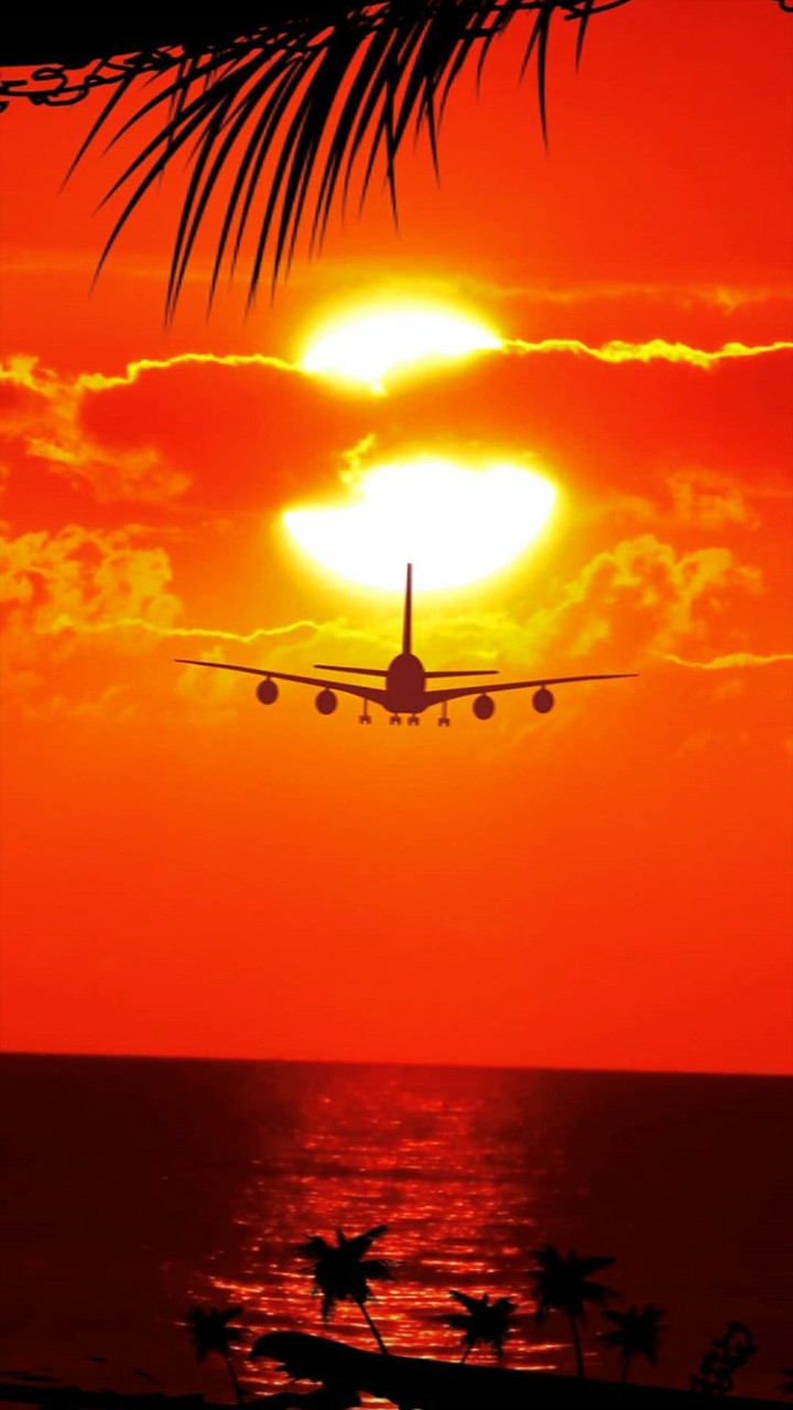 fly  , sun