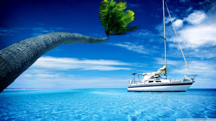 Sea