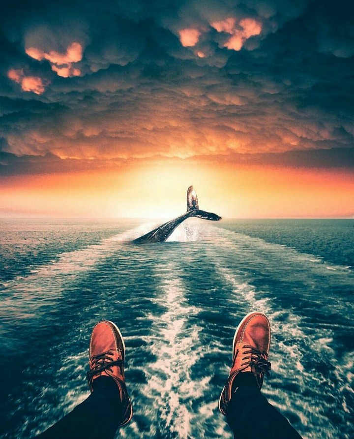 ocean men